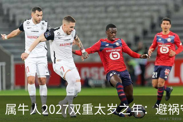 属牛人2027双重太岁之年：避祸守福，实用完整指南