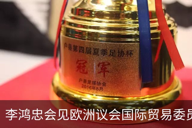 李鸿忠会见欧洲议会国际贸易委员会代表团
